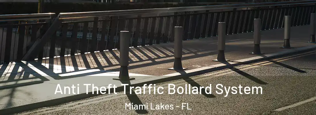  Anti Theft Traffic Bollard System Miami Lakes - FL