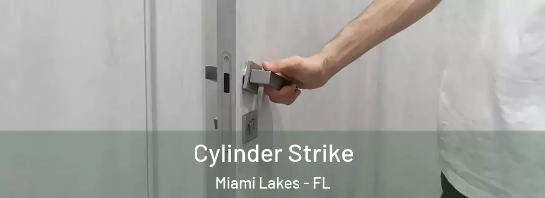  Cylinder Strike Miami Lakes - FL