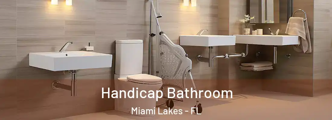 Handicap Bathroom Miami Lakes - FL