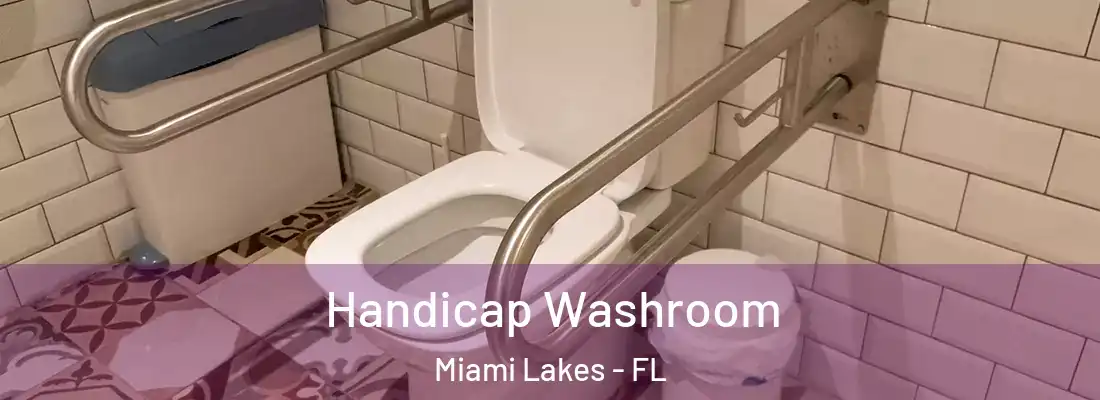 Handicap Washroom Miami Lakes - FL