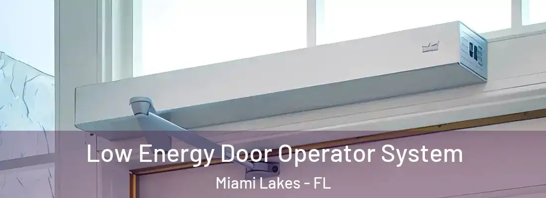 Low Energy Door Operator System Miami Lakes - FL