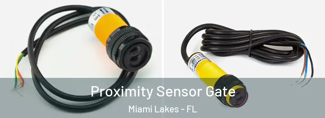 Proximity Sensor Gate Miami Lakes - FL